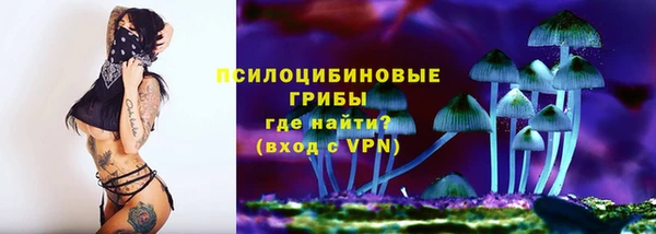 бутират Алзамай