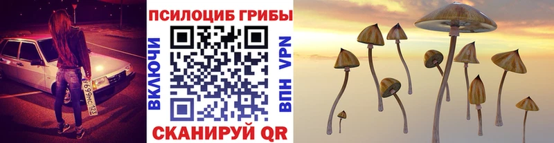 Галлюциногенные грибы мицелий  Межгорье 